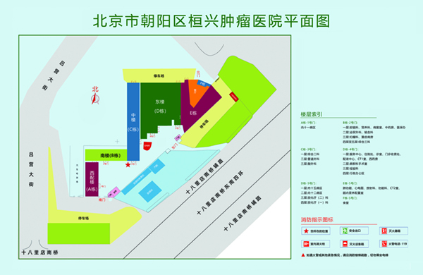 污污污av网站北京市朝阳区桓兴肿瘤医院平面图